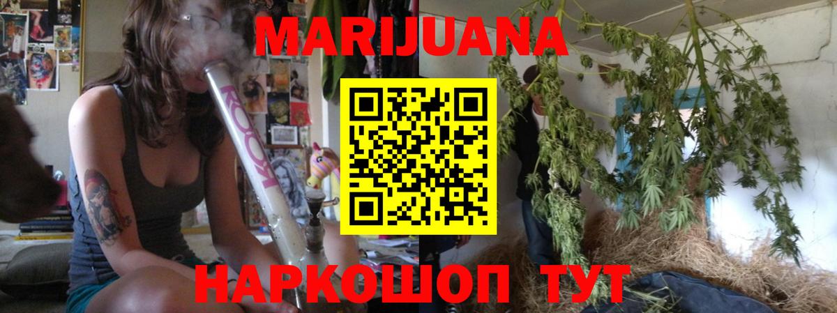 Камень-на-Оби  Конопля гибрид  Бошки Шишки семена  Каннабис индика  Вход с VPN 
